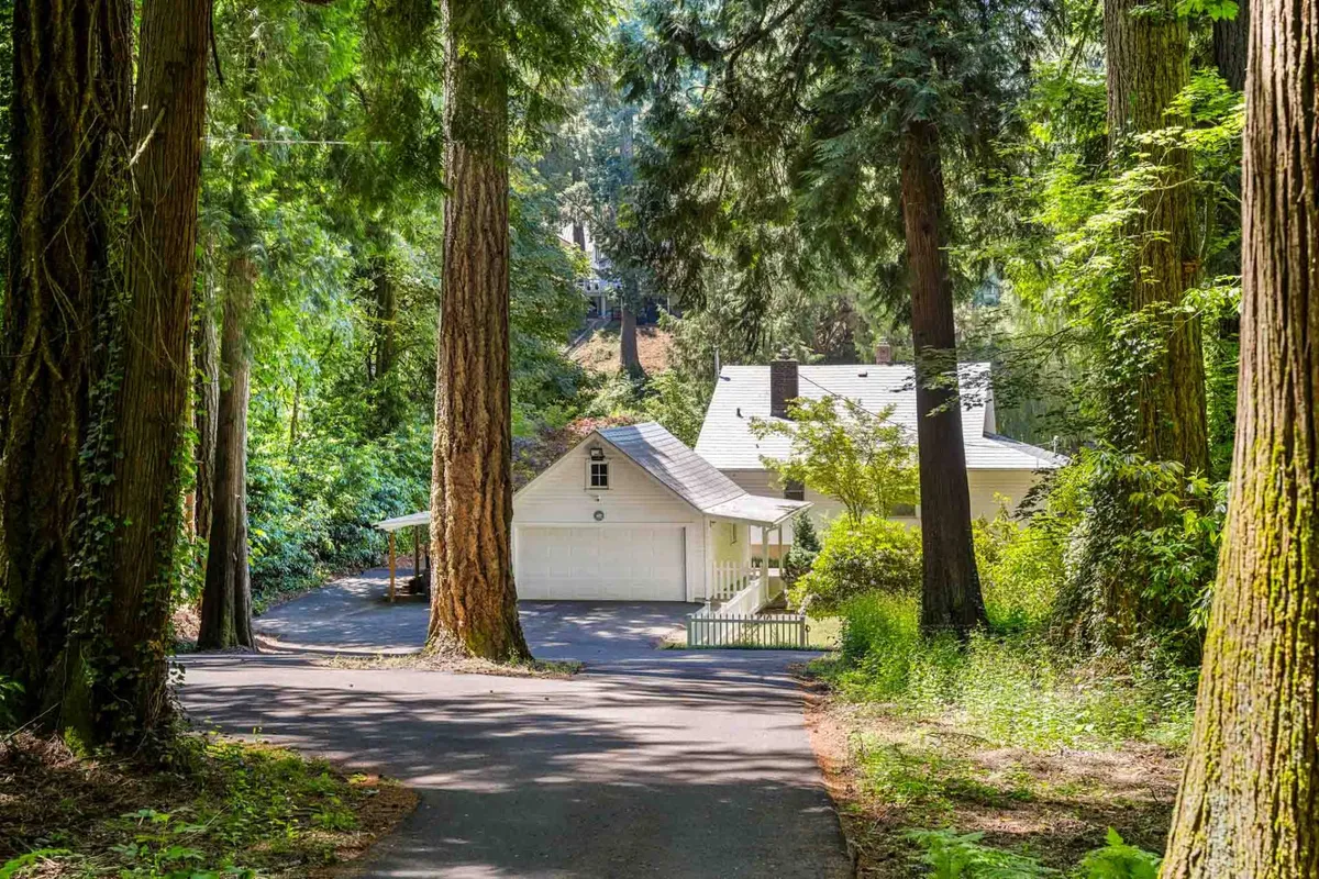 A broad view of the house nestled among tall trees and gardens, with a spacious driveway and natural landscaping. The image captures a sense of seclusion and seasonal transformation, with the potential for forest walks and wildlife observation.